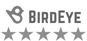 5 Stars on Birdeye